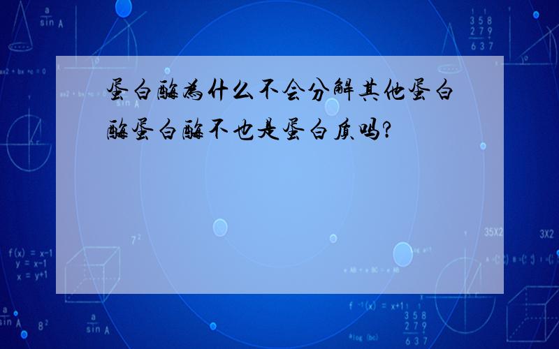 蛋白酶为什么不会分解其他蛋白酶蛋白酶不也是蛋白质吗?