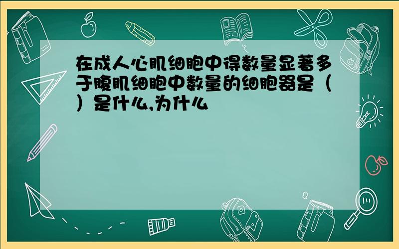 在成人心肌细胞中得数量显著多于腹肌细胞中数量的细胞器是（）是什么,为什么