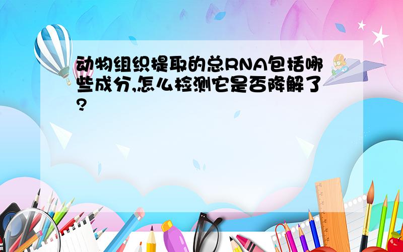 动物组织提取的总RNA包括哪些成分,怎么检测它是否降解了?