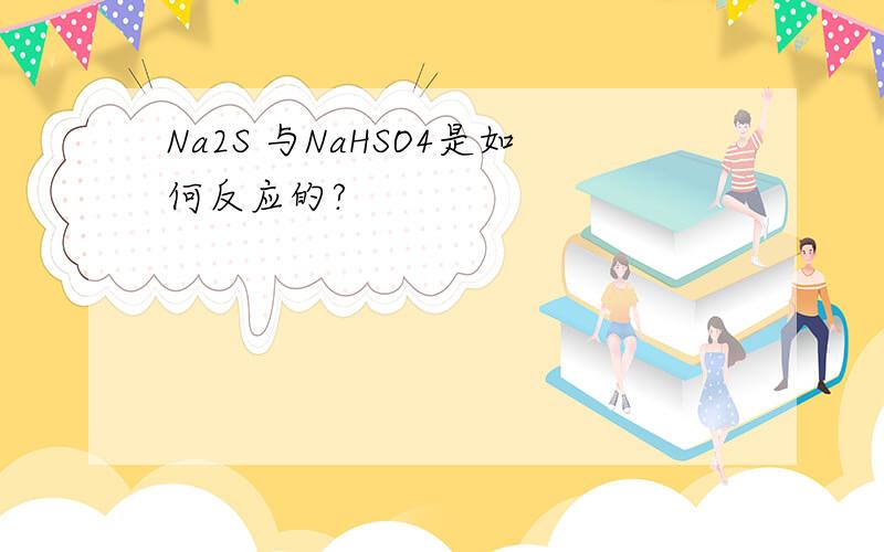 Na2S 与NaHSO4是如何反应的?