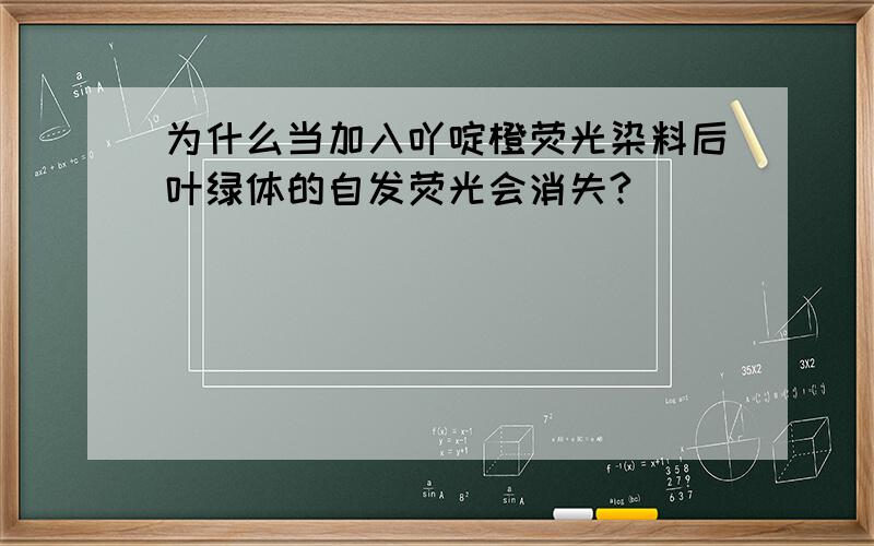 为什么当加入吖啶橙荧光染料后叶绿体的自发荧光会消失?