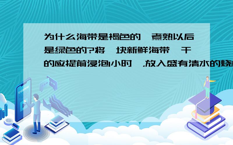 为什么海带是褐色的,煮熟以后是绿色的?将一块新鲜海带【干的应提前浸泡1小时】，放入盛有清水的烧杯中。用酒精灯加 并把温度计插在烧杯中。随着温度升高，海带逐渐变绿。可以查找书