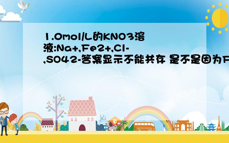 1.0mol/L的KNO3溶液:Na+,Fe2+,Cl-,SO42-答案显示不能共存 是不是因为Fe2+会水解生成H+ 然后氧化还原反应 那也就是说 只要体系中有Fe2+ NO3- 就可以发生氧化还原反应了?好奇怪啊.