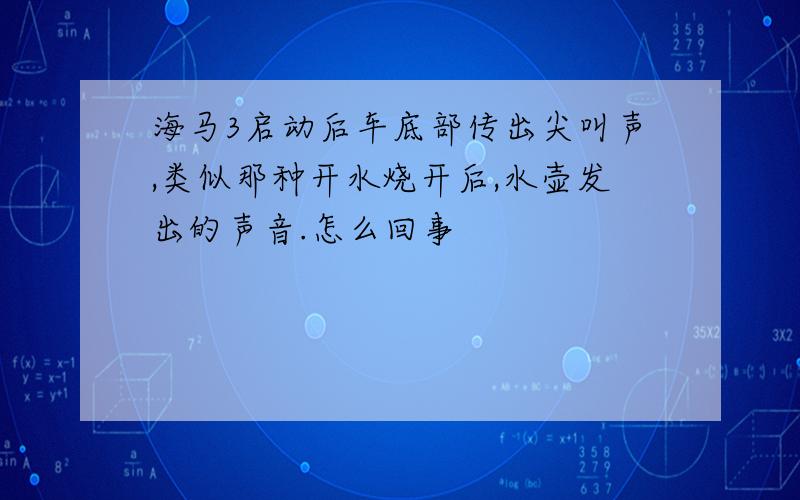 海马3启动后车底部传出尖叫声,类似那种开水烧开后,水壶发出的声音.怎么回事