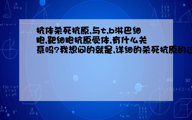 抗体杀死抗原,与t,b淋巴细胞,靶细胞抗原受体,有什么关系吗?我想问的就是,详细的杀死抗原的过