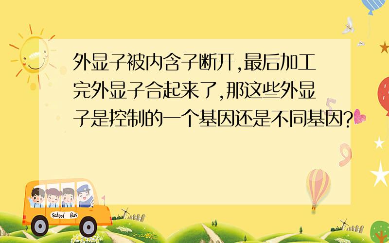 外显子被内含子断开,最后加工完外显子合起来了,那这些外显子是控制的一个基因还是不同基因?