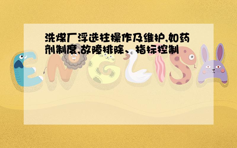 洗煤厂浮选柱操作及维护,如药剂制度,故障排除、指标控制