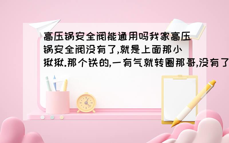 高压锅安全阀能通用吗我家高压锅安全阀没有了,就是上面那小揪揪.那个铁的,一有气就转圈那哥,没有了,今天在市场又买了1哥,卖东西的伙计说是通用的,是真的吗