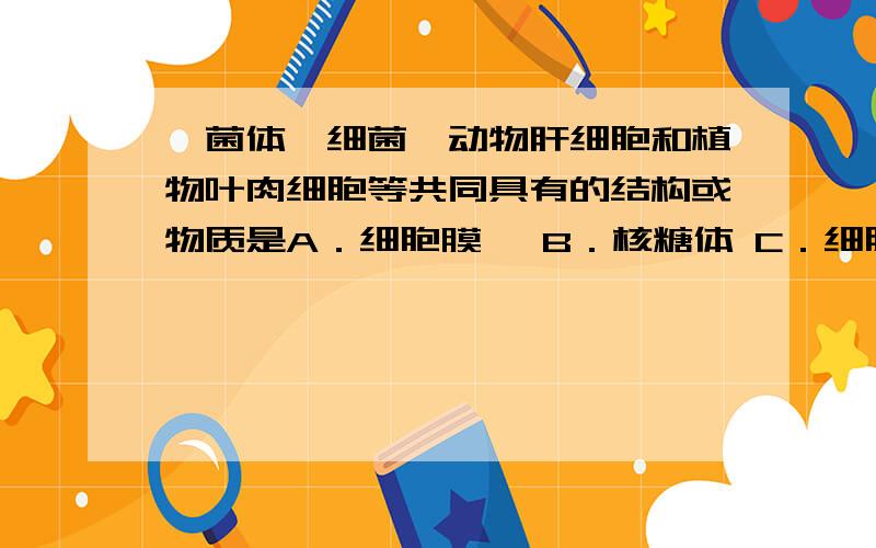 噬菌体、细菌、动物肝细胞和植物叶肉细胞等共同具有的结构或物质是A．细胞膜 　B．核糖体 C．细胞核 D．遗传物质DNA