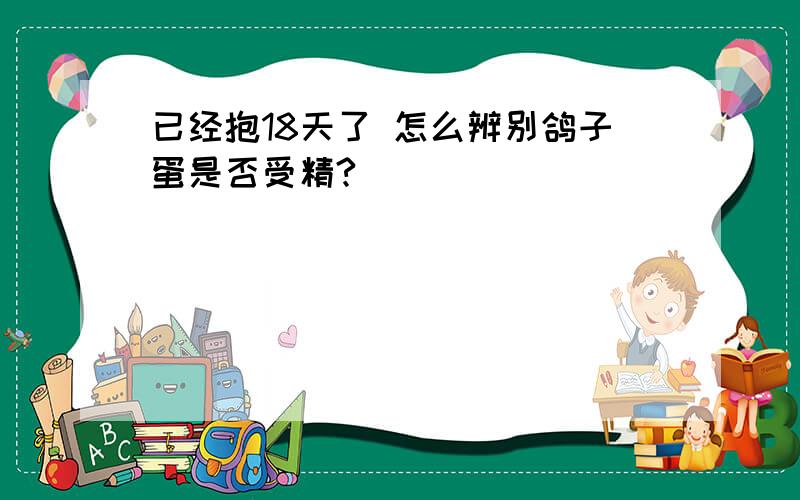 已经抱18天了 怎么辨别鸽子蛋是否受精?