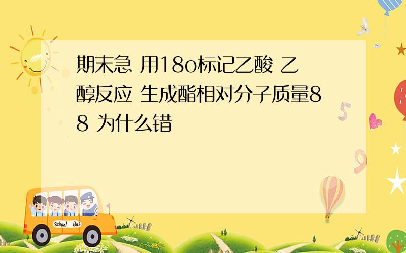 期末急 用18o标记乙酸 乙醇反应 生成酯相对分子质量88 为什么错