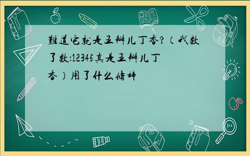 难道它就是五瓣儿丁香?（我数了数：12345真是五瓣儿丁香）用了什么修辞