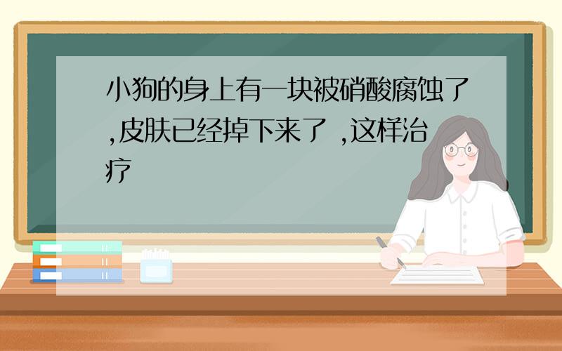 小狗的身上有一块被硝酸腐蚀了,皮肤已经掉下来了 ,这样治疗