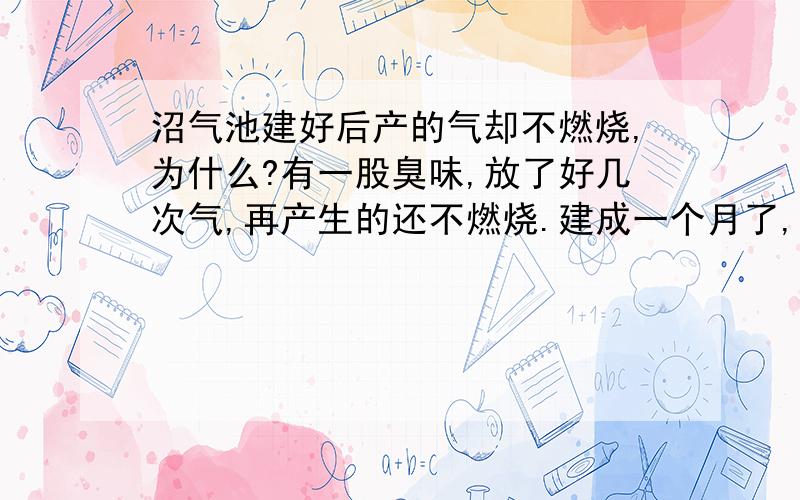 沼气池建好后产的气却不燃烧,为什么?有一股臭味,放了好几次气,再产生的还不燃烧.建成一个月了,每天产气量不少,都得放掉.打火机都点不着.急呀.发酵粉也加了.别人家的沼液也加了还不行