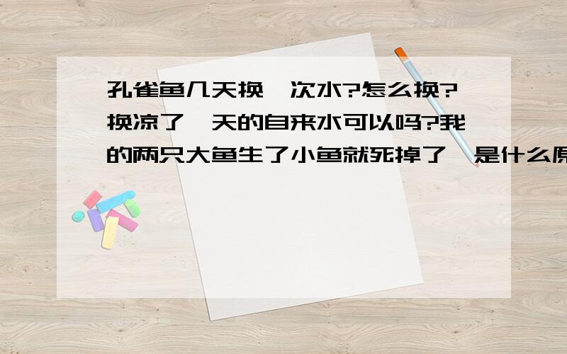 孔雀鱼几天换一次水?怎么换?换凉了一天的自来水可以吗?我的两只大鱼生了小鱼就死掉了,是什么原因啊?