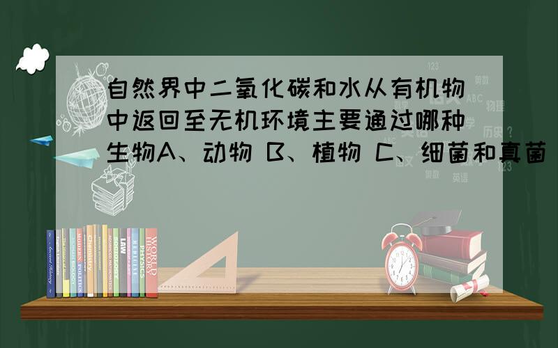 自然界中二氧化碳和水从有机物中返回至无机环境主要通过哪种生物A、动物 B、植物 C、细菌和真菌 D、肉食动物