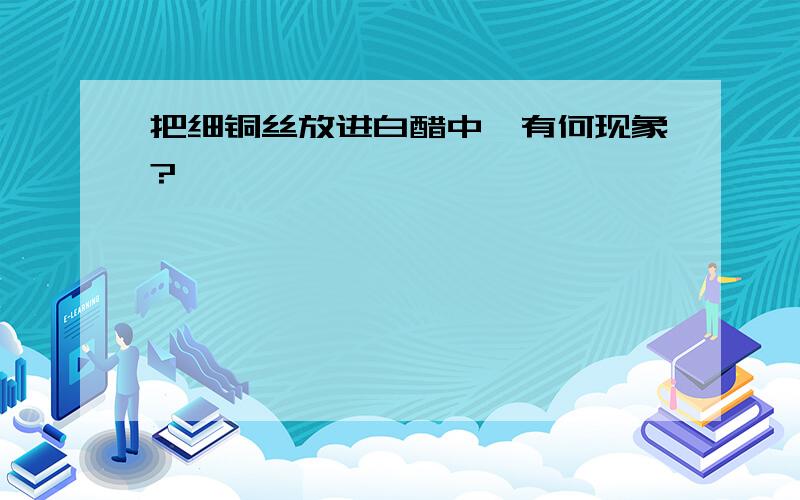 把细铜丝放进白醋中,有何现象?