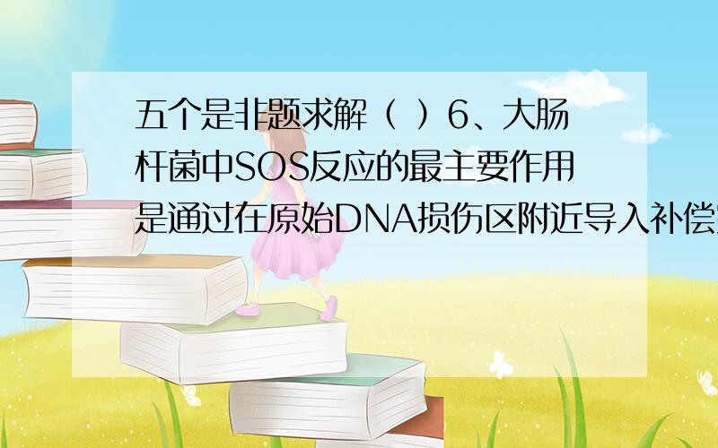 五个是非题求解（ ）6、大肠杆菌中SOS反应的最主要作用是通过在原始DNA损伤区附近导入补偿突变来提高细胞存活率.（ ）7、分泌蛋白的运输为翻译—转运同步机制,分泌蛋白一般由游离核糖