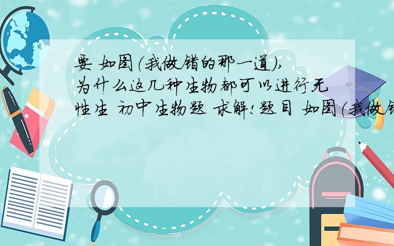 要 如图（我做错的那一道）,为什么这几种生物都可以进行无性生 初中生物题 求解!题目 如图（我做错的那一道）,为什么这几种生物都可以进行无性生殖?怎样进行?在这四种生物中,有哪几种