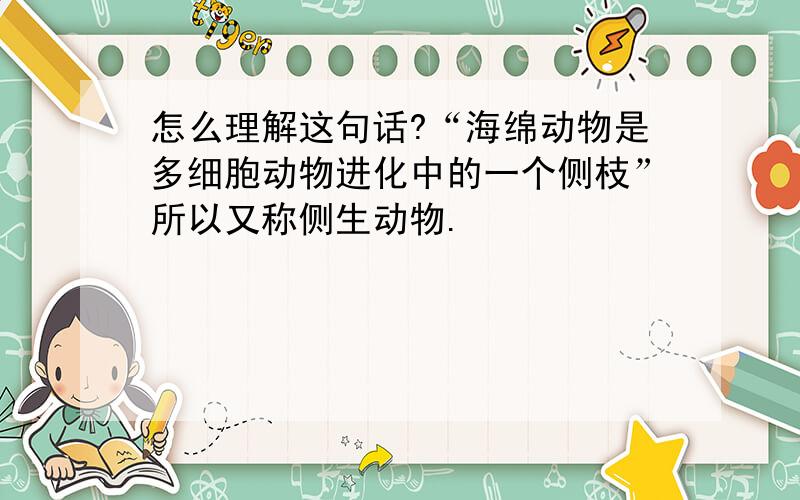 怎么理解这句话?“海绵动物是多细胞动物进化中的一个侧枝”所以又称侧生动物.