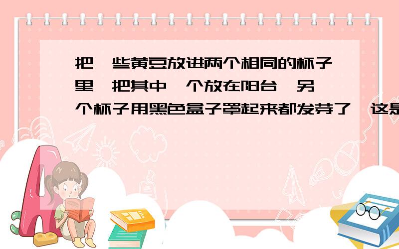 把一些黄豆放进两个相同的杯子里,把其中一个放在阳台,另一个杯子用黑色盒子罩起来都发芽了,这是怎么回事