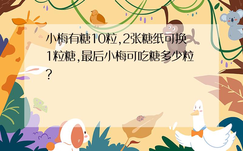 小梅有糖10粒,2张糖纸可换1粒糖,最后小梅可吃糖多少粒?