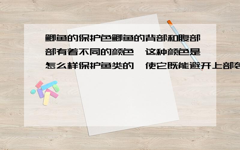 鲫鱼的保护色鲫鱼的背部和腹部部有着不同的颜色,这种颜色是怎么样保护鱼类的,使它既能避开上部袭击,又能避开深水生物的敌害?