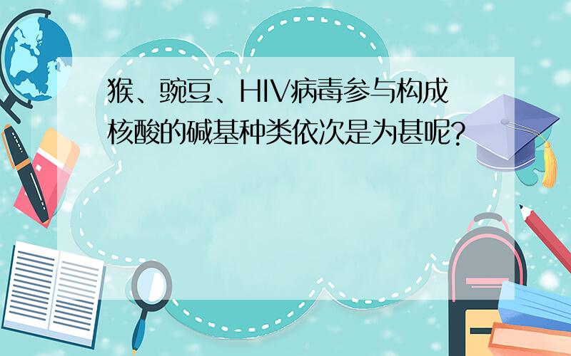 猴、豌豆、HIV病毒参与构成核酸的碱基种类依次是为甚呢?