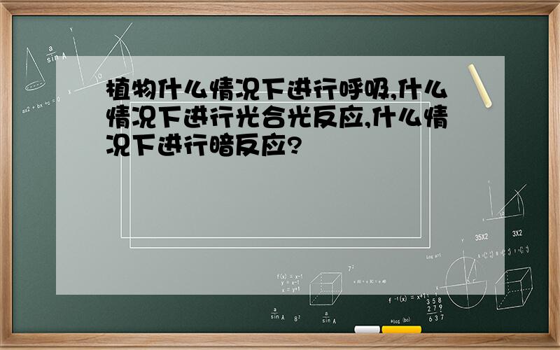 植物什么情况下进行呼吸,什么情况下进行光合光反应,什么情况下进行暗反应?