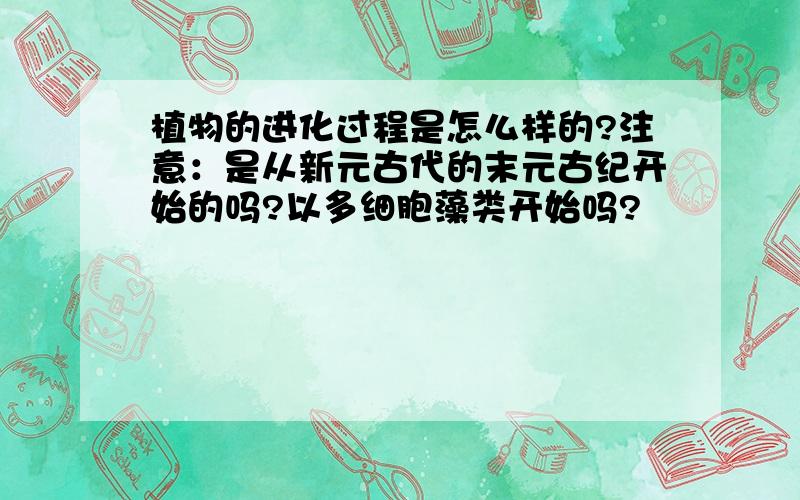 植物的进化过程是怎么样的?注意：是从新元古代的末元古纪开始的吗?以多细胞藻类开始吗?