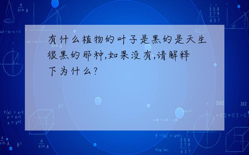 有什么植物的叶子是黑的是天生很黑的那种,如果没有,请解释下为什么?