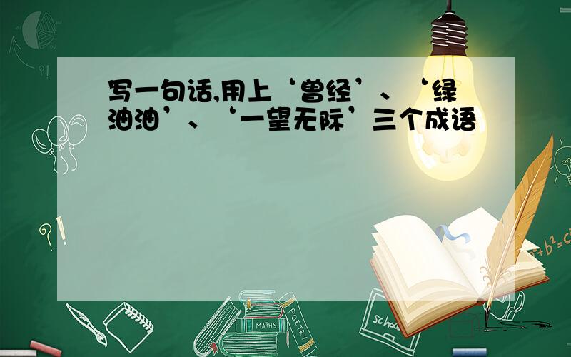 写一句话,用上‘曾经’、‘绿油油’、‘一望无际’三个成语