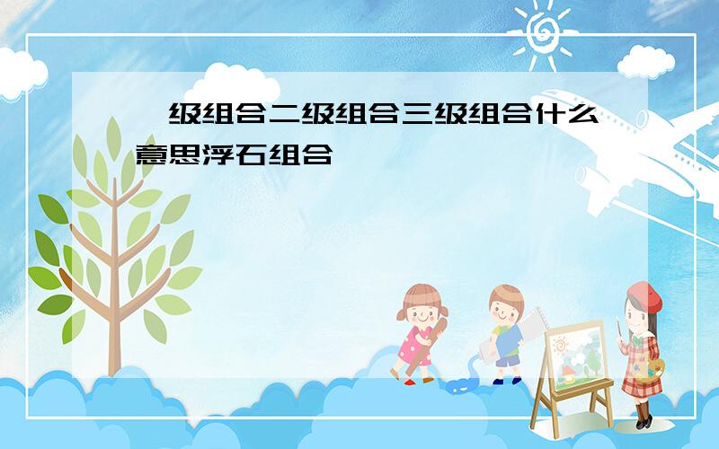 一级组合二级组合三级组合什么意思浮石组合