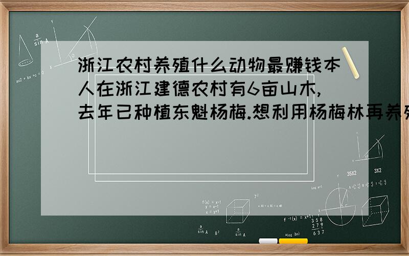 浙江农村养殖什么动物最赚钱本人在浙江建德农村有6亩山木,去年已种植东魁杨梅.想利用杨梅林再养殖些动物,请问,养殖什么动物比较赚钱,销路比较大,如果动物是市场上紧俏动动物也可以