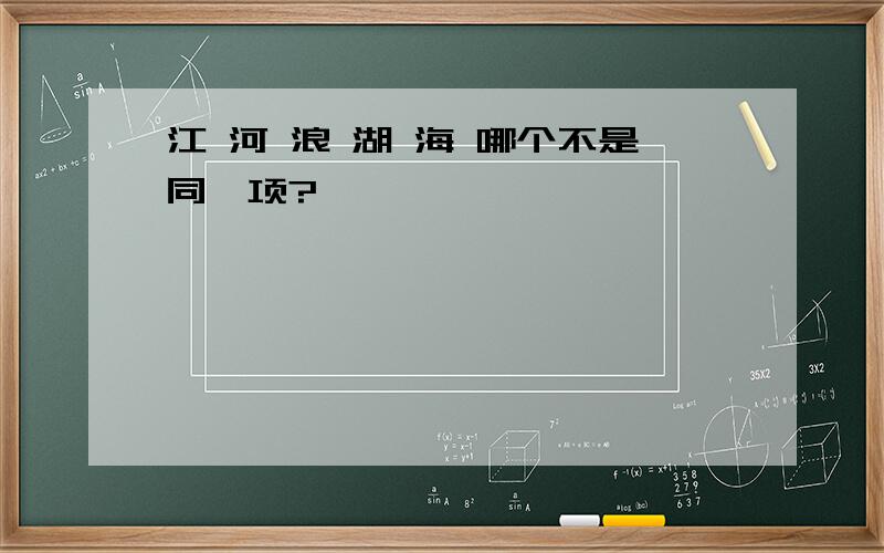 江 河 浪 湖 海 哪个不是同一项?