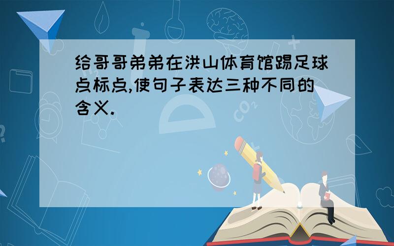 给哥哥弟弟在洪山体育馆踢足球点标点,使句子表达三种不同的含义.