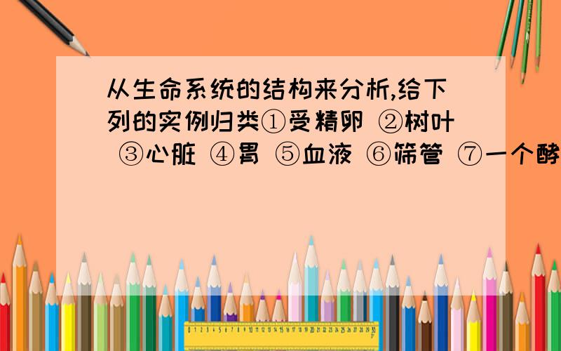 从生命系统的结构来分析,给下列的实例归类①受精卵 ②树叶 ③心脏 ④胃 ⑤血液 ⑥筛管 ⑦一个酵母菌 ⑧池塘中的所有金鱼 ⑨某山上的所有生物 ⑩一片森林 ⑾一个池塘 ⑿一只小白鼠 ⒀某