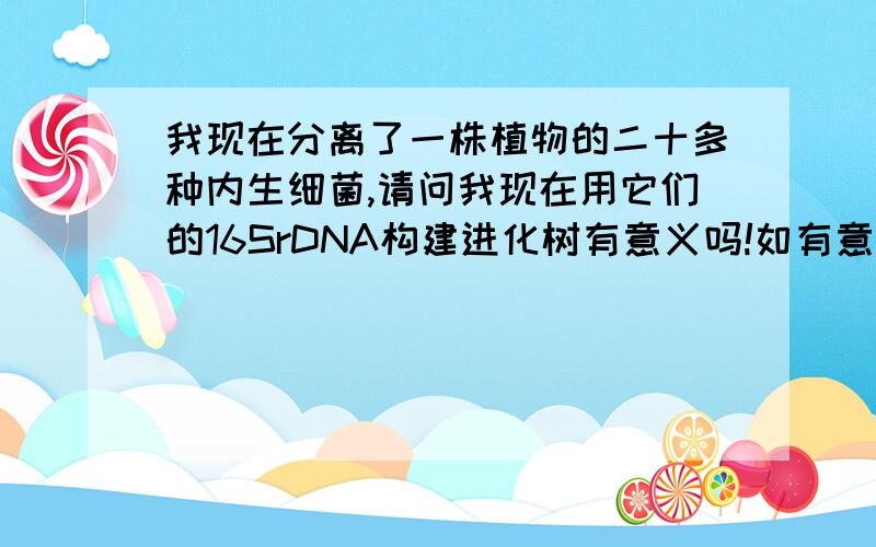 我现在分离了一株植物的二十多种内生细菌,请问我现在用它们的16SrDNA构建进化树有意义吗!如有意义,请告诉我下,最好给我一些参考文献我去百度下.若没有意义的话告诉我下为什么!呵呵我已