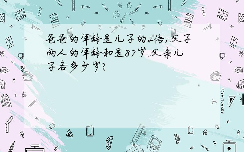 爸爸的年龄是儿子的2倍,父子两人的年龄和是87岁.父亲儿子各多少岁?
