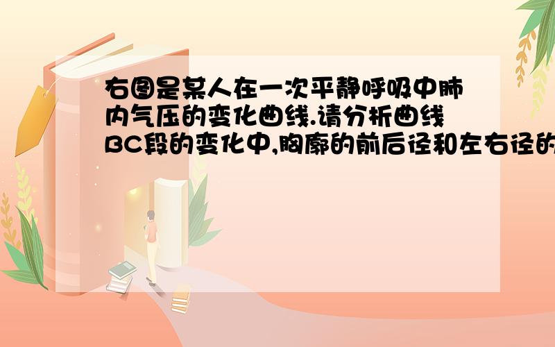 右图是某人在一次平静呼吸中肺内气压的变化曲线.请分析曲线BC段的变化中,胸廓的前后径和左右径的变化分别是（ ）A.前后径增大,左右径缩小B.前后径缩小,左右径增大C.前后径和左右径均缩