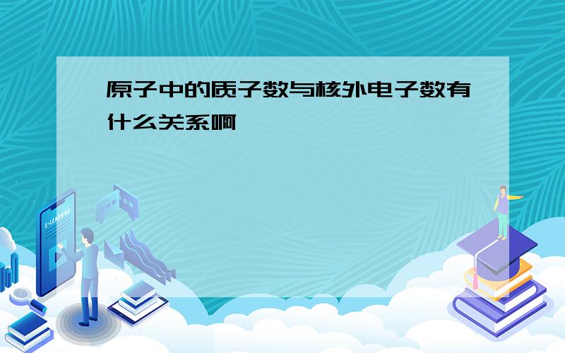 原子中的质子数与核外电子数有什么关系啊