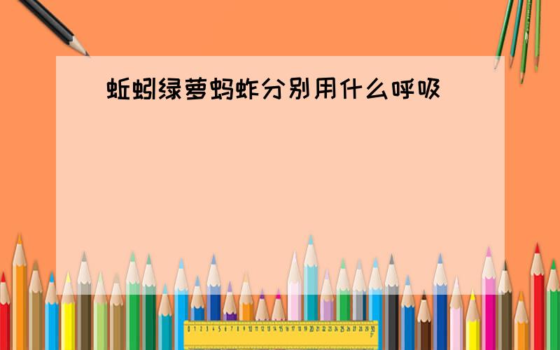 蚯蚓绿萝蚂蚱分别用什么呼吸