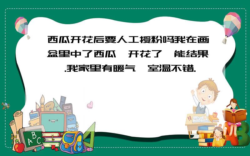 西瓜开花后要人工授粉吗我在画盆里中了西瓜,开花了,能结果嘛 .我家里有暖气,室温不错.