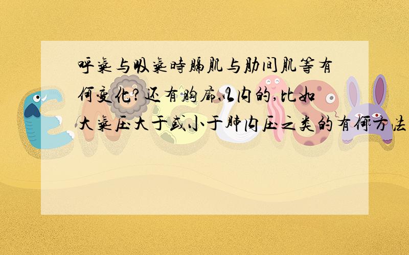 呼气与吸气时膈肌与肋间肌等有何变化?还有胸廓以内的,比如大气压大于或小于肺内压之类的有何方法便于记忆?