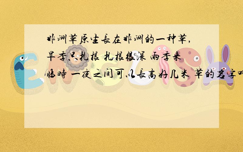 非洲草原生长在非洲的一种草,旱季只扎根 扎根很深 雨季来临时 一夜之间可以长高好几米 草的名字叫什么