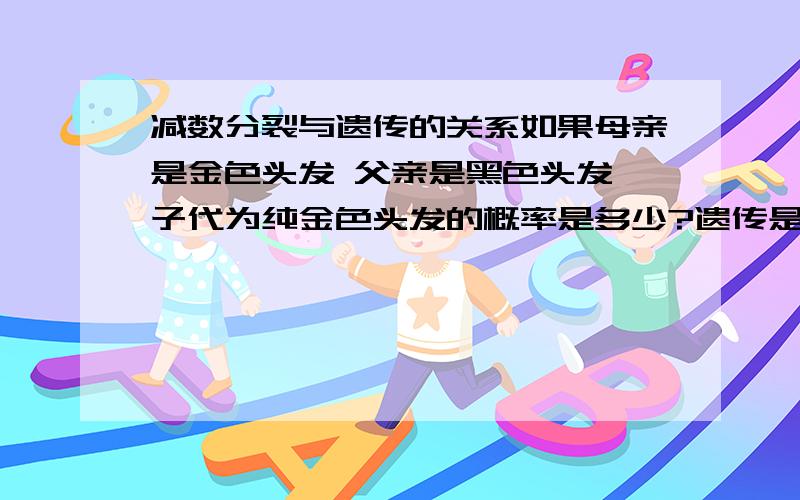 减数分裂与遗传的关系如果母亲是金色头发 父亲是黑色头发 子代为纯金色头发的概率是多少?遗传是怎样和生殖细胞的减数分裂相联系的?