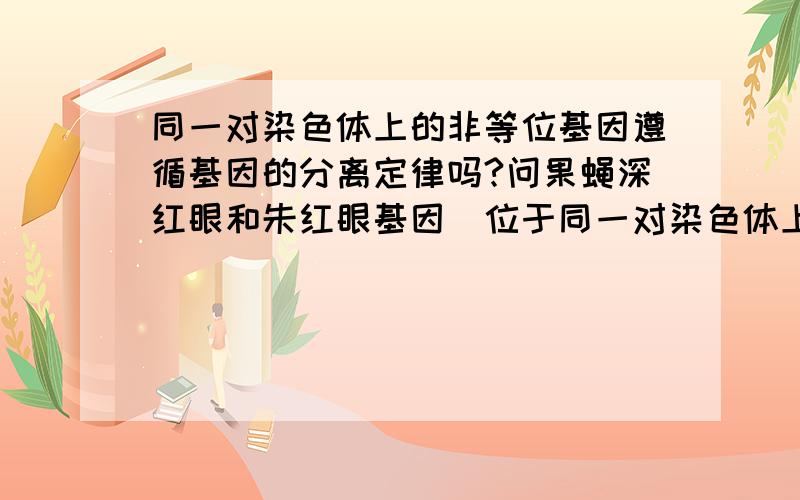 同一对染色体上的非等位基因遵循基因的分离定律吗?问果蝇深红眼和朱红眼基因（位于同一对染色体上）是否遵循基因的分离定律和自由组合定律,答案说都不遵循.不遵循基因的自由组合定