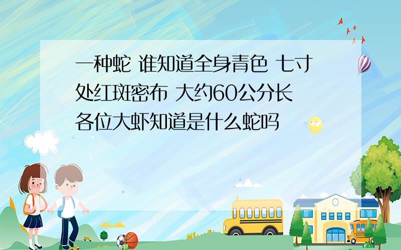 一种蛇 谁知道全身青色 七寸处红斑密布 大约60公分长 各位大虾知道是什么蛇吗