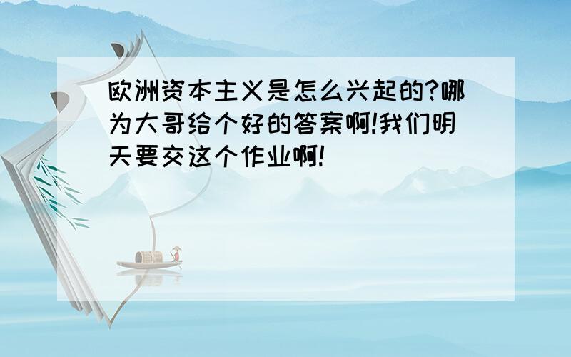 欧洲资本主义是怎么兴起的?哪为大哥给个好的答案啊!我们明天要交这个作业啊!