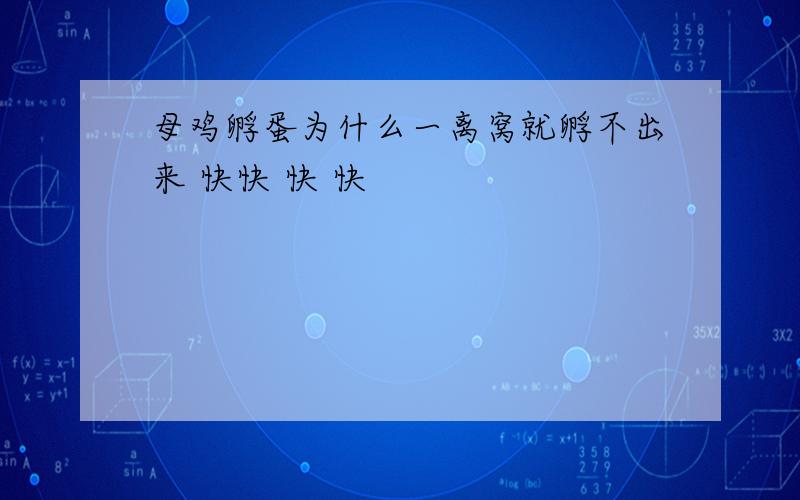 母鸡孵蛋为什么一离窝就孵不出来 快快 快 快